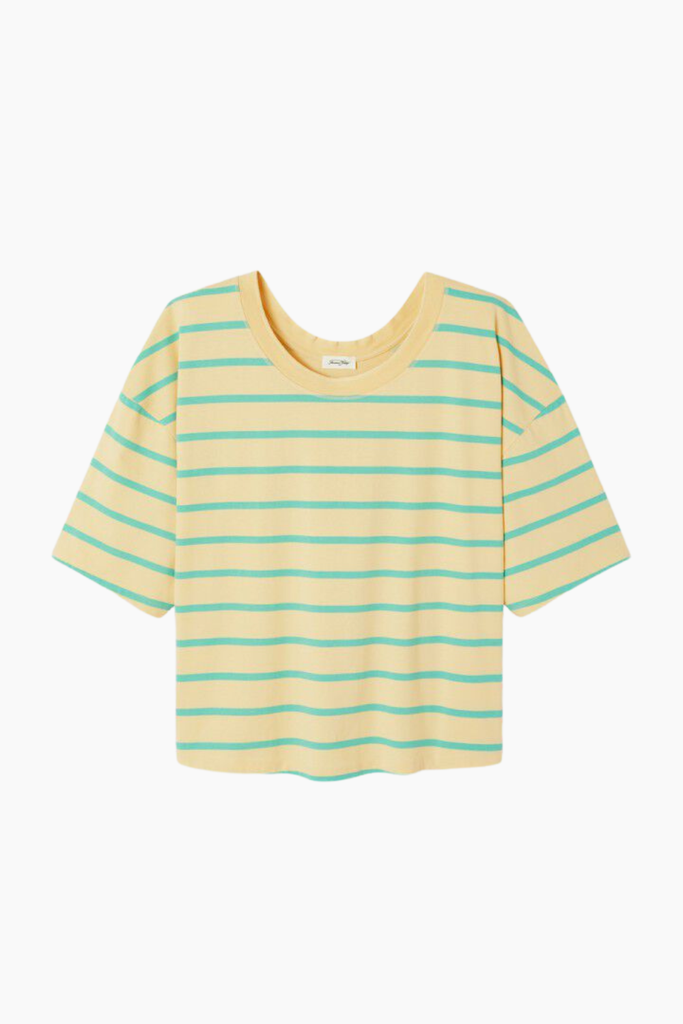 Gixy T-shirt - Mint Stripes - American Vintage