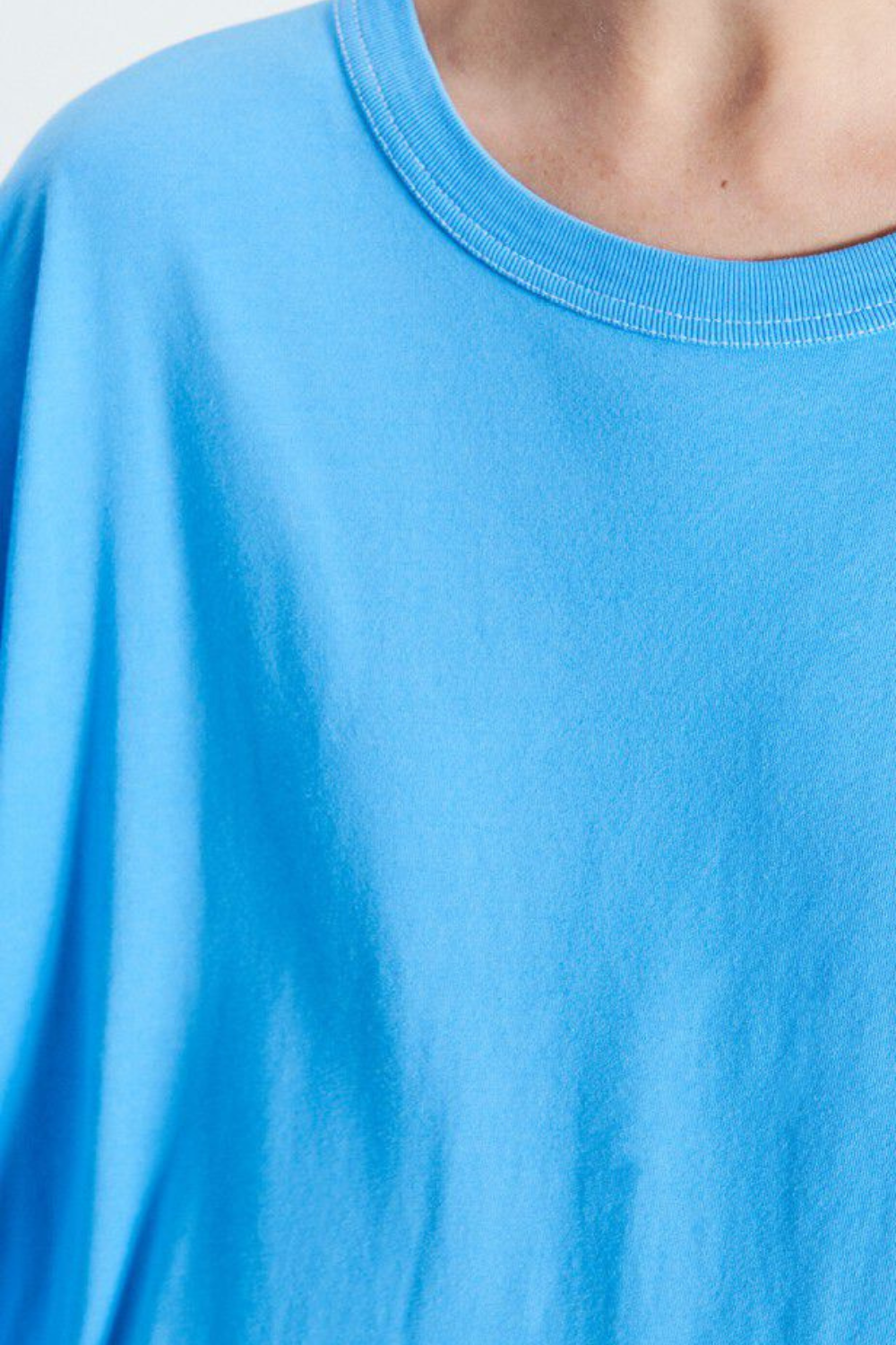 Fizvalley T-shirt - Vintage Celestial - American Vintage