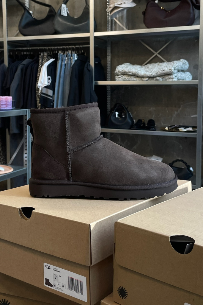 W Classic Mini II - Dusted Cocoa - UGG