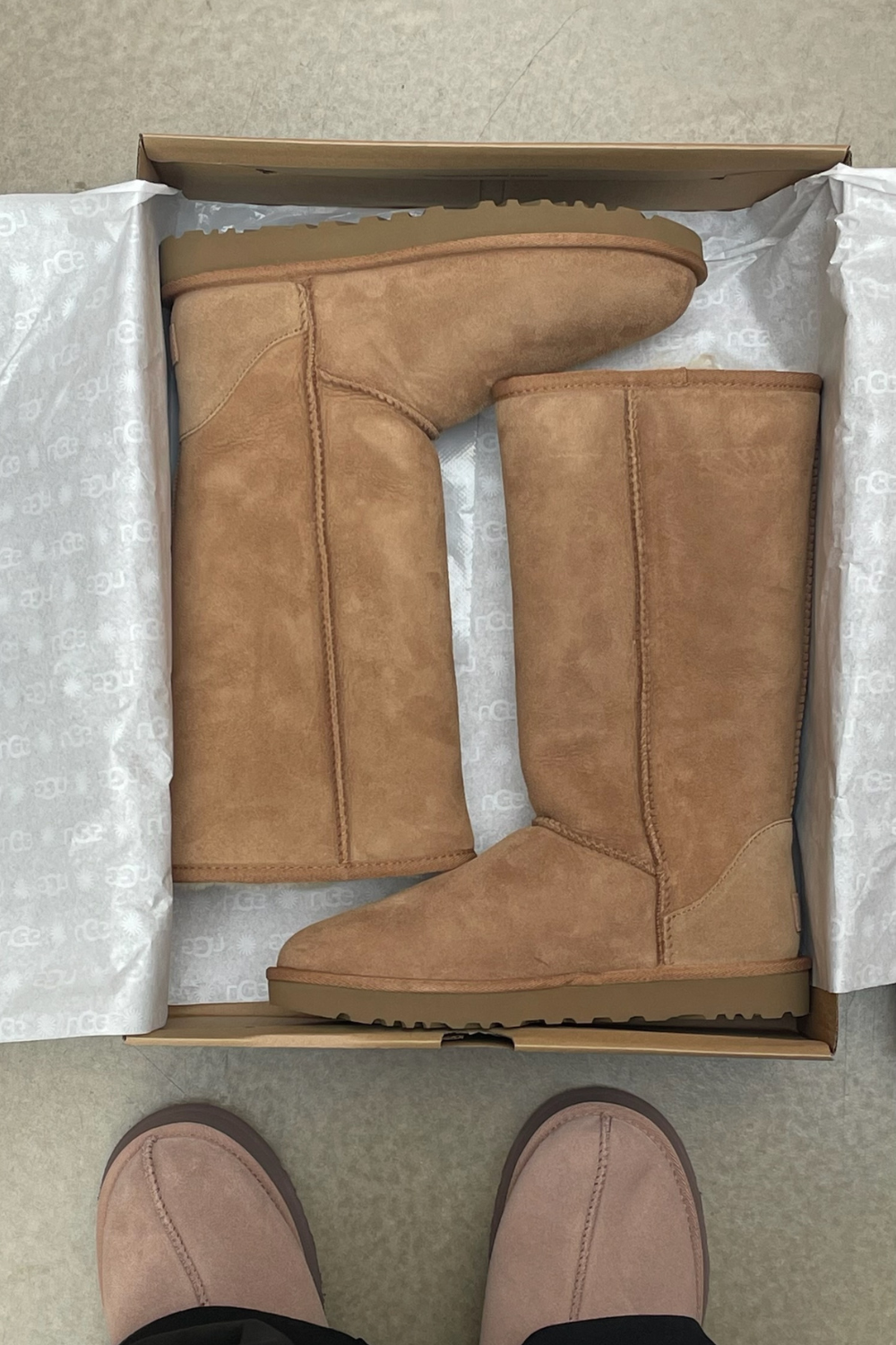 W Classic Tall II - Chestnut - UGG