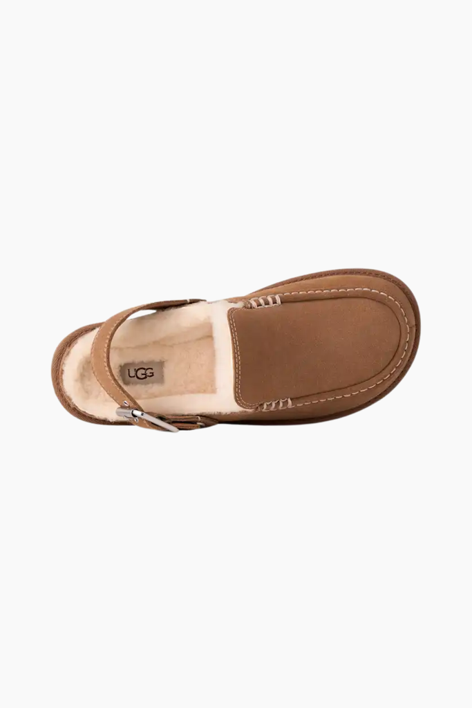 W Goldenstar Evelina Clog - Chestnut - UGG