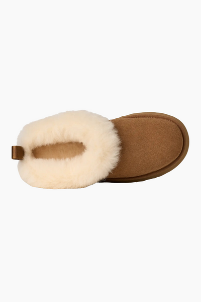 W Tazzelle - Chestnut - UGG